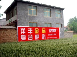 雷波如何让墙体广告展现最大化效果