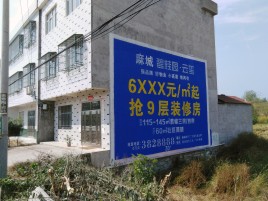 雷波墙体广告质量分析