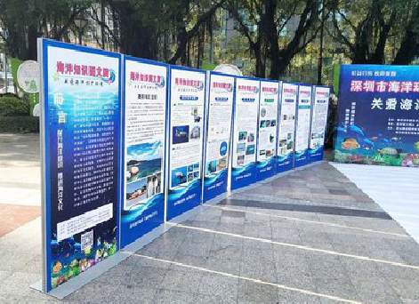 雷波KT板的种类和知识。